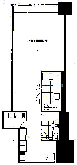 175 E Delaware Floorplan - Studio*