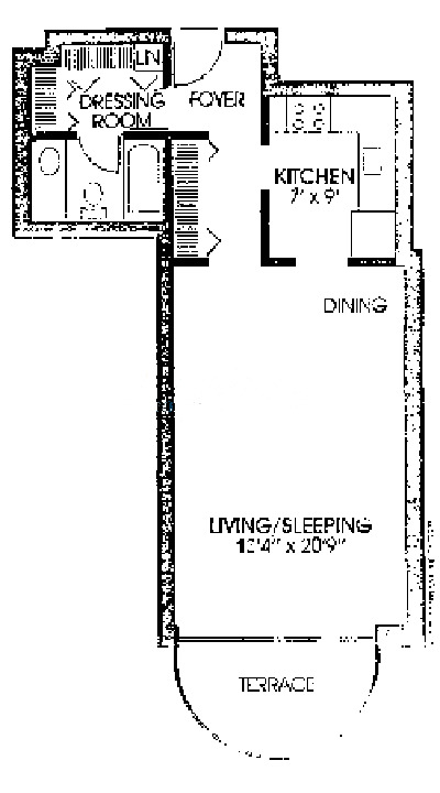 2020 N Lincoln Park West Floorplan - L Tier*