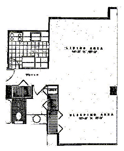 100 E Walton Floorplan - C Tier