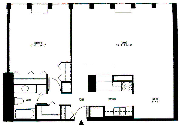 111 E Chestnut Floorplan - B1 & D1 Tiers
