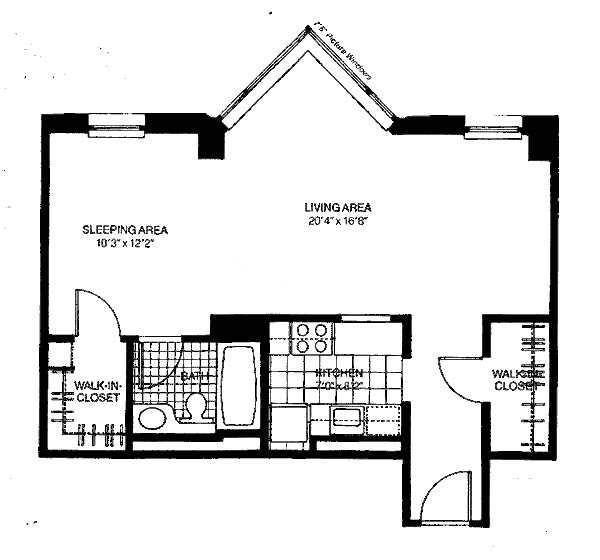 Ontario Place Chicago Condo Buildings Dream Town Realty