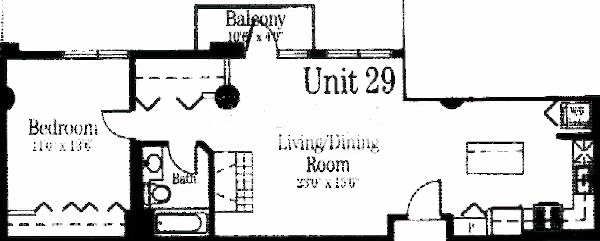 720 N Larrabee Floorplan - 29 Tier*