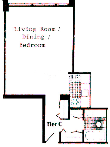 21 E Chestnut Floorplan - C Tier*