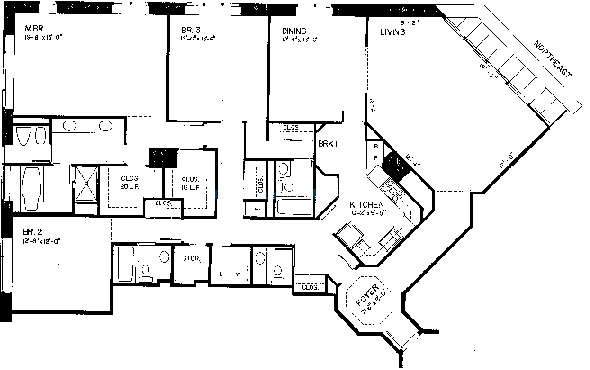 950 N Michigan Floorplan - D Tier*